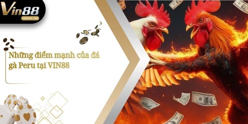 Những điểm mạnh của đá gà Peru tại VIN88