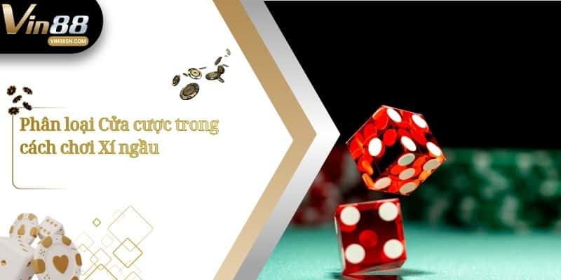 Phân loại Cửa cược trong cách chơi Xí ngầu