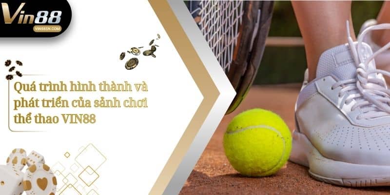 Quá trình hình thành và phát triển của sảnh chơi thể thao VIN88
